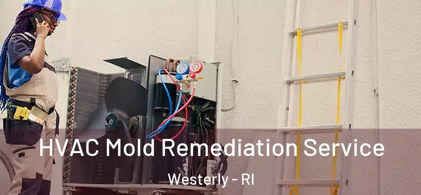  HVAC Mold Remediation Service Westerly - RI