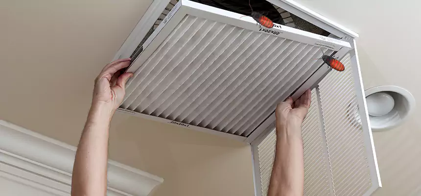 Preventive Cockroach-Proofing for Ducts in Westerly