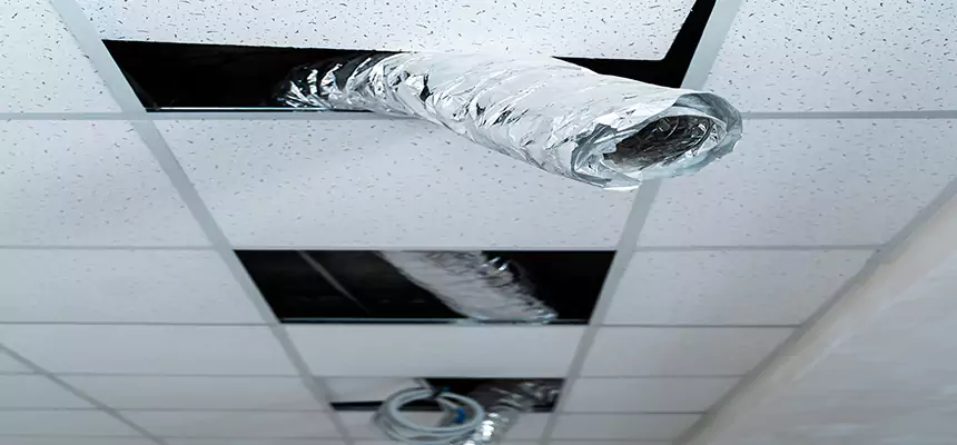 Our Air Duct Pet Hair Removal Services in Westerly, RI