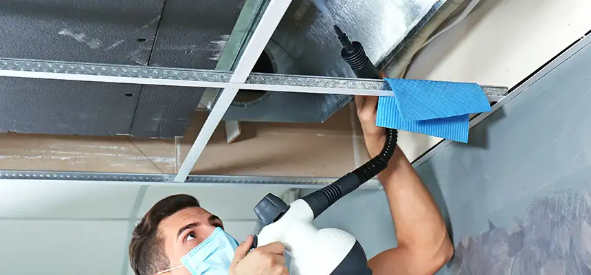 Our Air Duct Rodent Removal Services in Westerly, RI