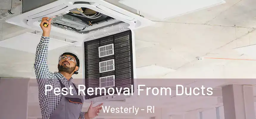  Pest Removal From Ducts Westerly - RI