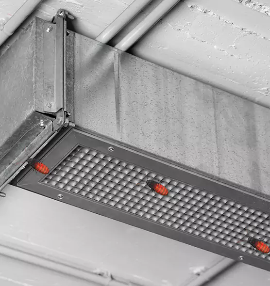 About Air Duct Cockroach Removal in Westerly, RI