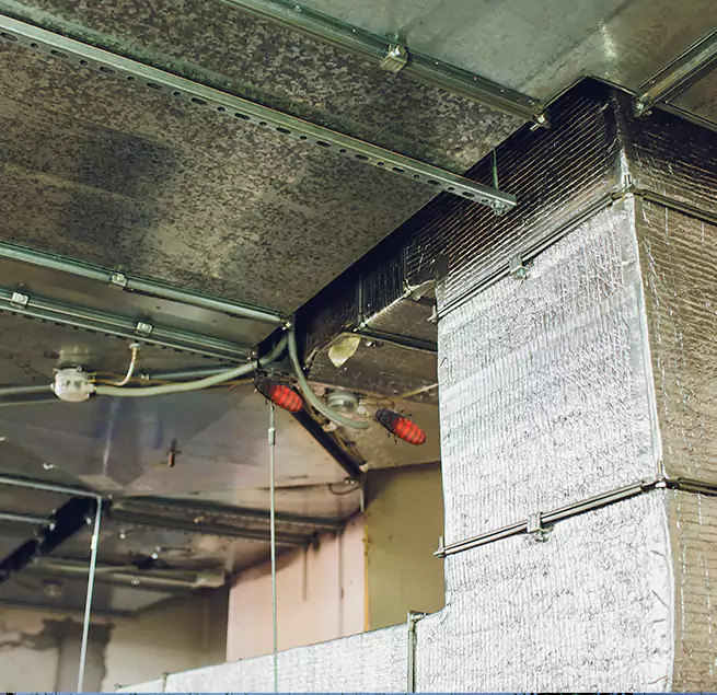 Why Homeowners & Businesses Trust Us in Westerly, RI?