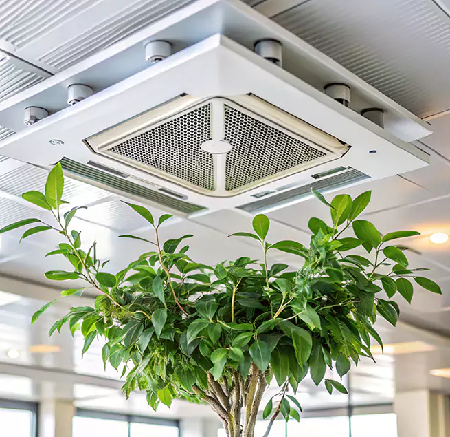 Why Homeowners & Businesses Trust Us in Westerly, RI?